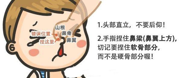 鼻子出血，家屬怎么辦？